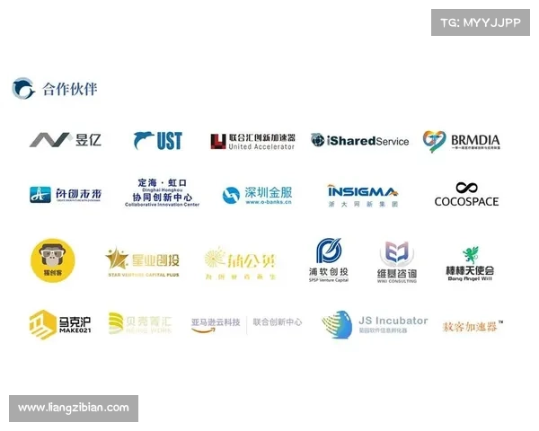 软件项目公开了大量客户和合作伙伴数据 在线 软件项目公开了大量客户和合作伙伴数据 在线